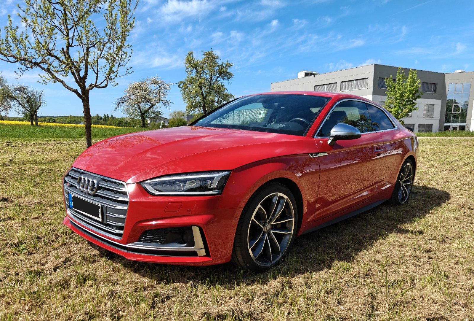 Audi S5 2017, 65 800 км, 260 kW (354 PS) бензин, автомат — фото с аукциона, доставка в Беларусь