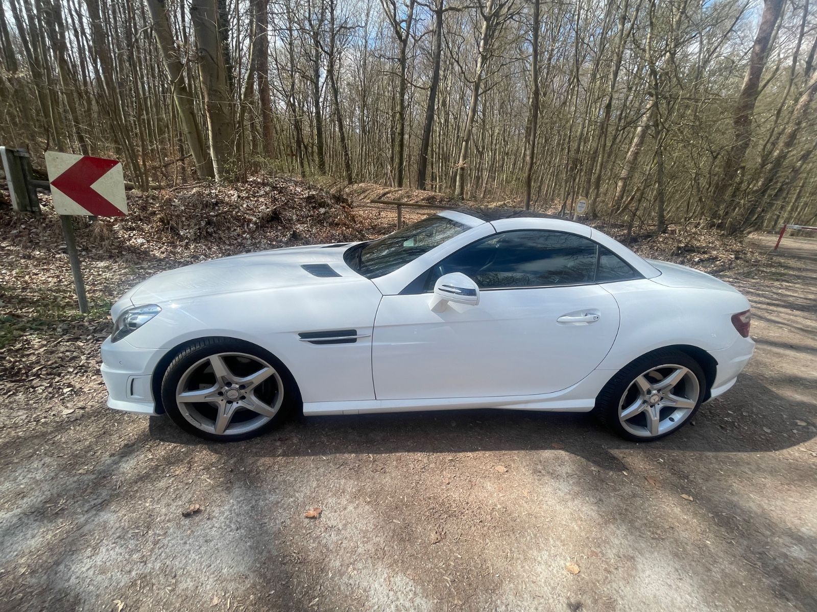Mercedes-Benz SLK 200 2014, 54 000 км, 135 kW (184 PS) бензин, автомат — фото с аукциона, доставка в Беларусь