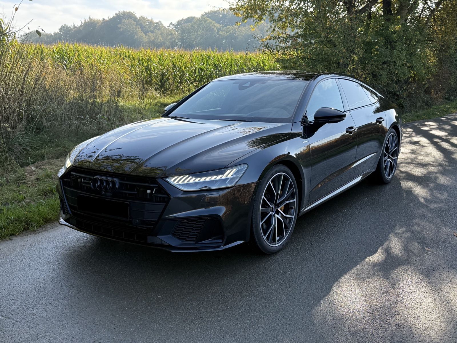 Audi A7 2018, 87 500 км, 250 kW (340 PS) бензин, автомат — фото с аукциона, доставка в Беларусь