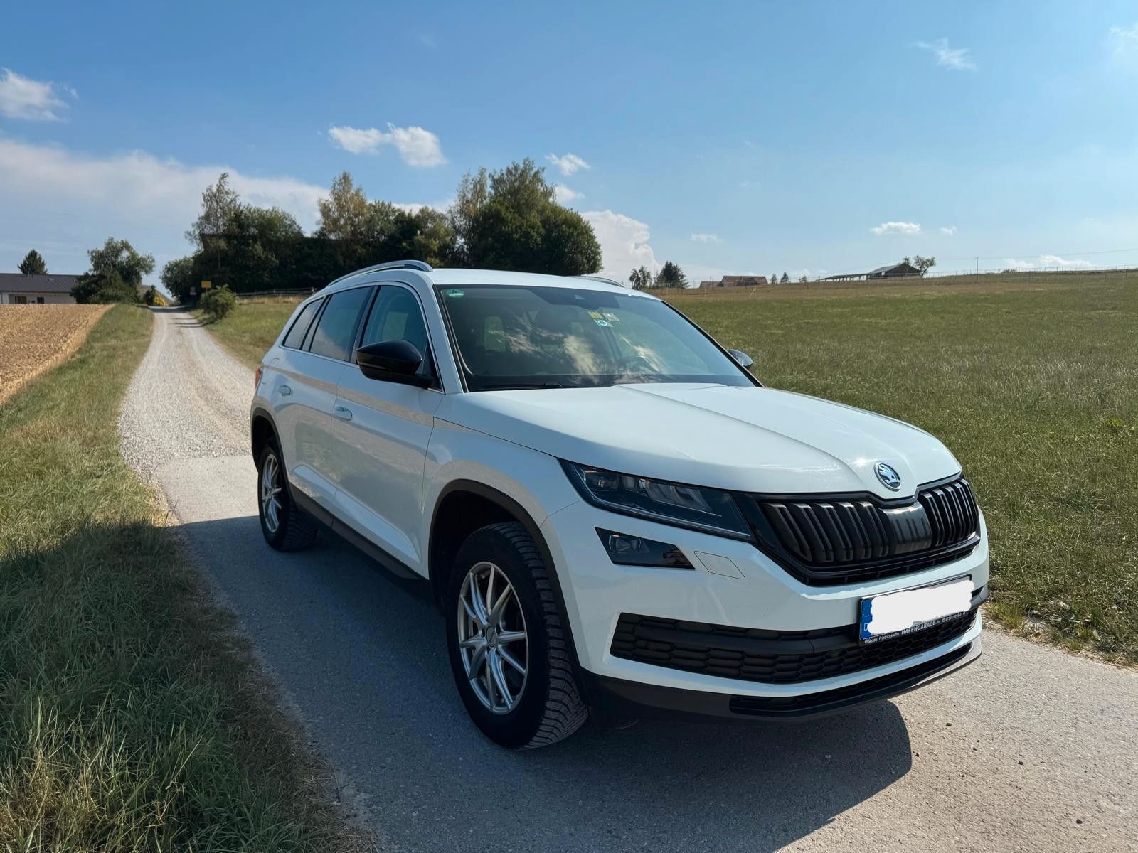 Skoda Kodiaq 2017, 162 000 км, 132 kW (179 PS) бензин, автомат — фото с аукциона, доставка в Беларусь