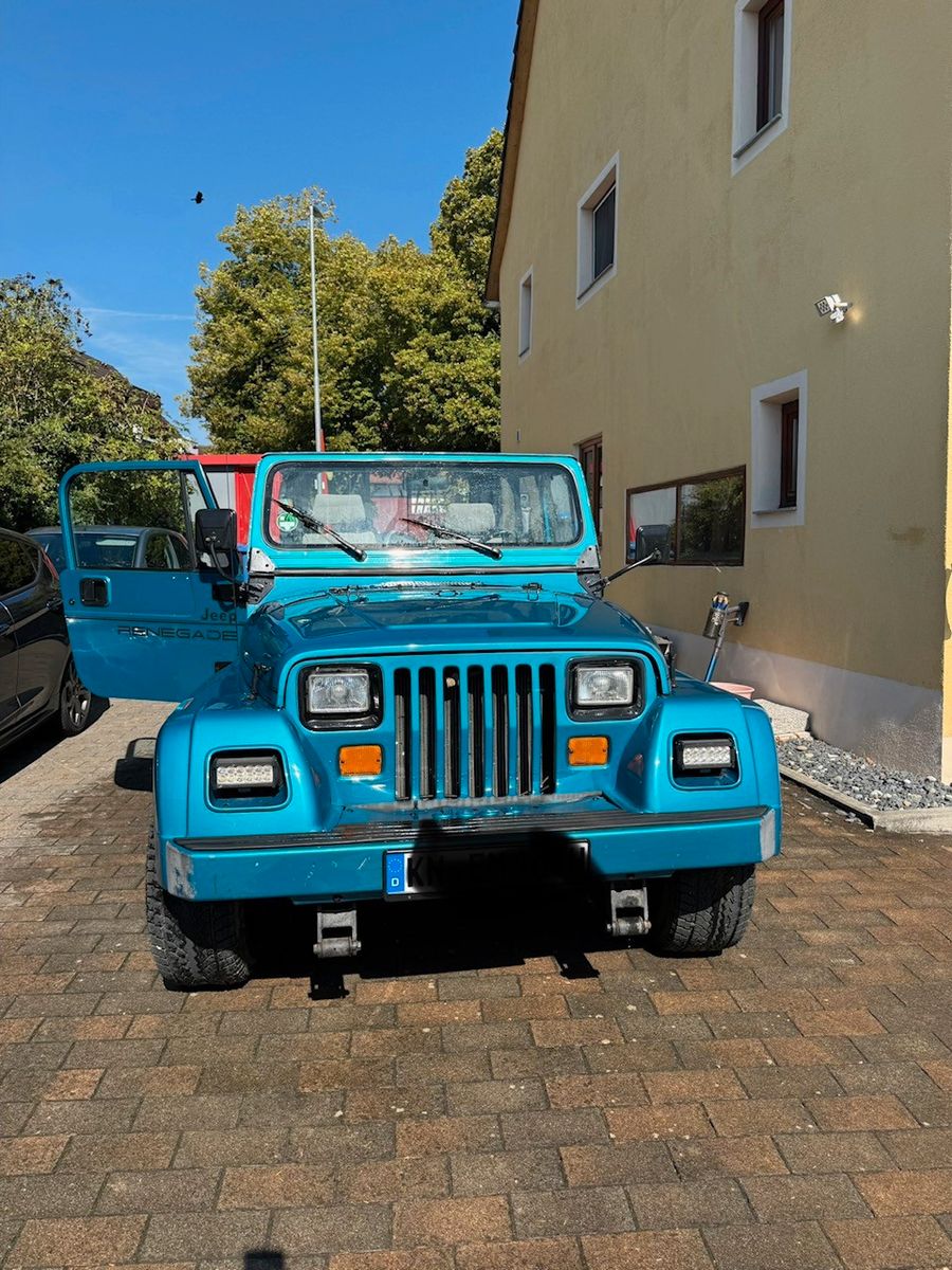 Jeep Wrangler 1994, 159 600 км, 89 kW (121 PS) бензин, schaltgetriebe — фото с аукциона, доставка в Беларусь