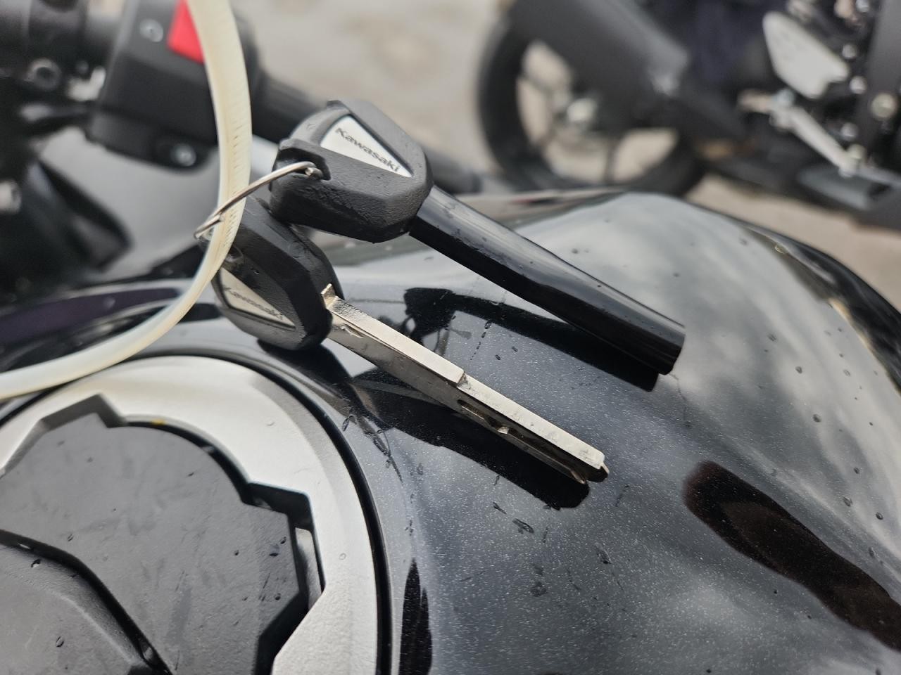 KAWASAKI Ex500 2025, 4 099 км, 2 cyl., механика — фото 7