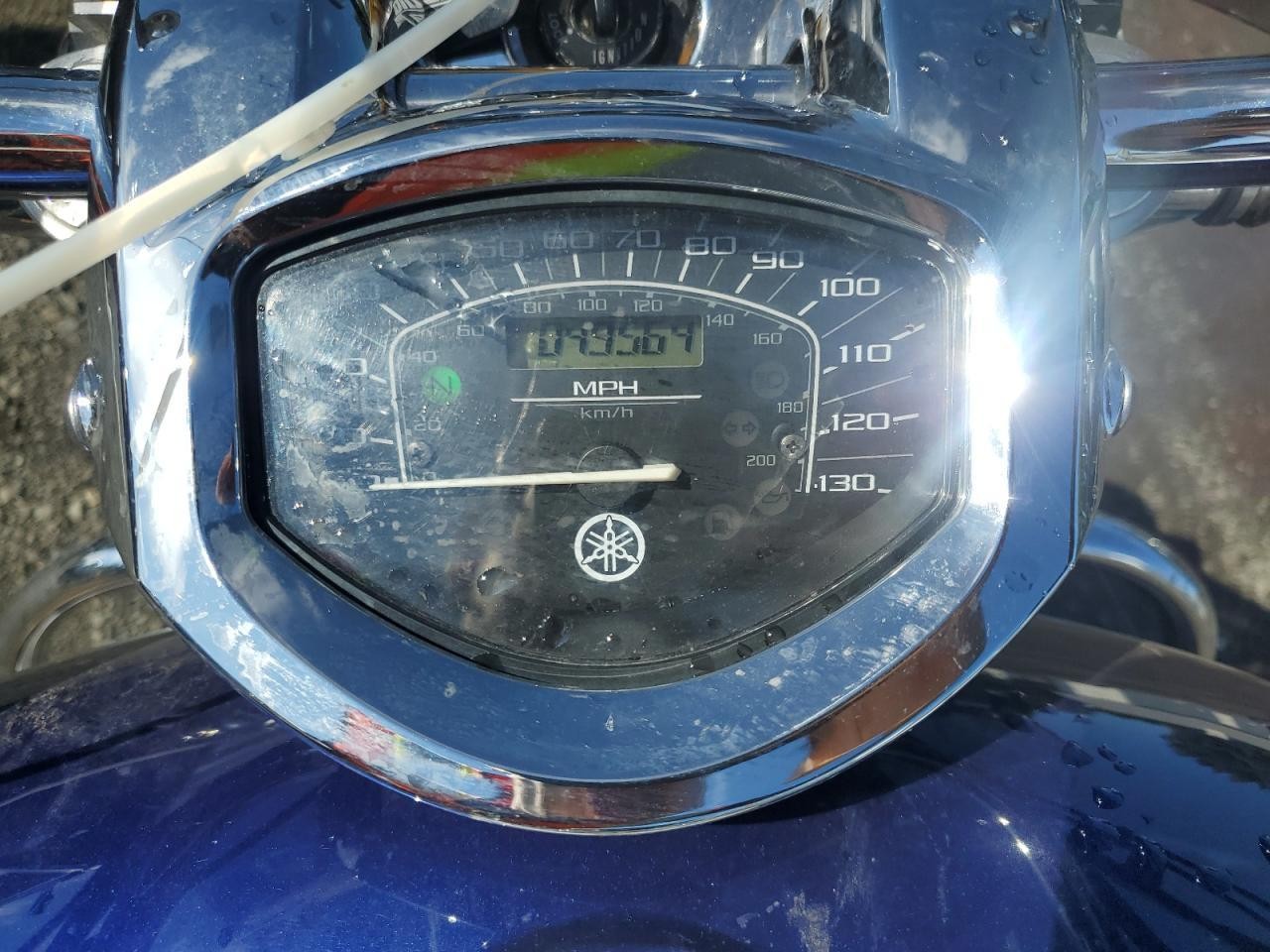 YAMAHA Xvs1300 a 2023, 79 766 км, 2 cyl. бензин, механика — фото 7