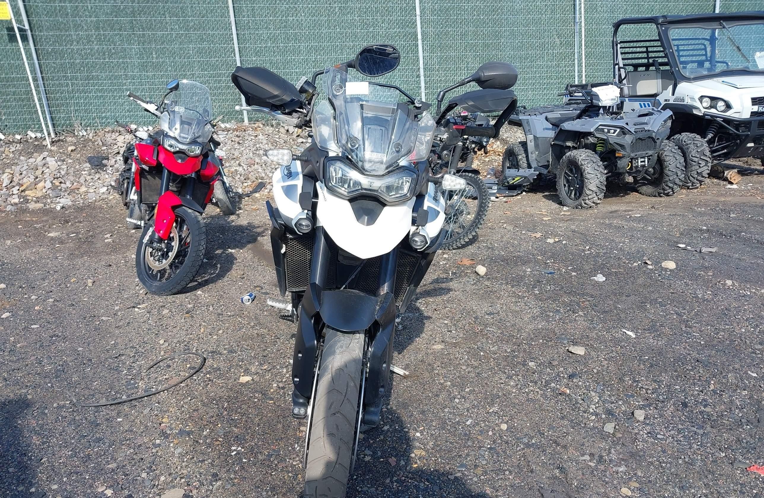 TRIUMPH TIGER 2022, 3 cyl. бензин — фото 4