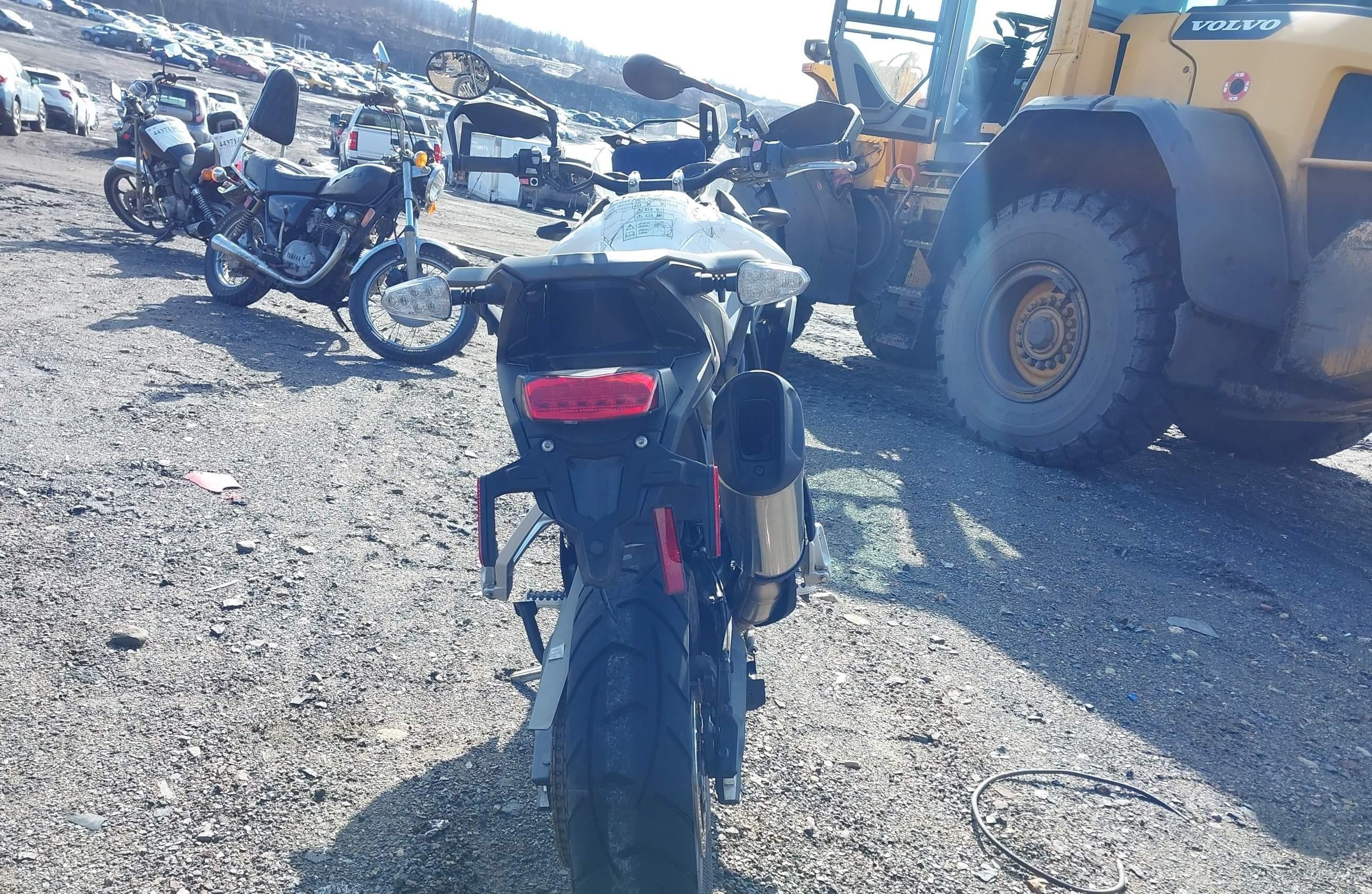 TRIUMPH TIGER 2022, 3 cyl. бензин — фото 5