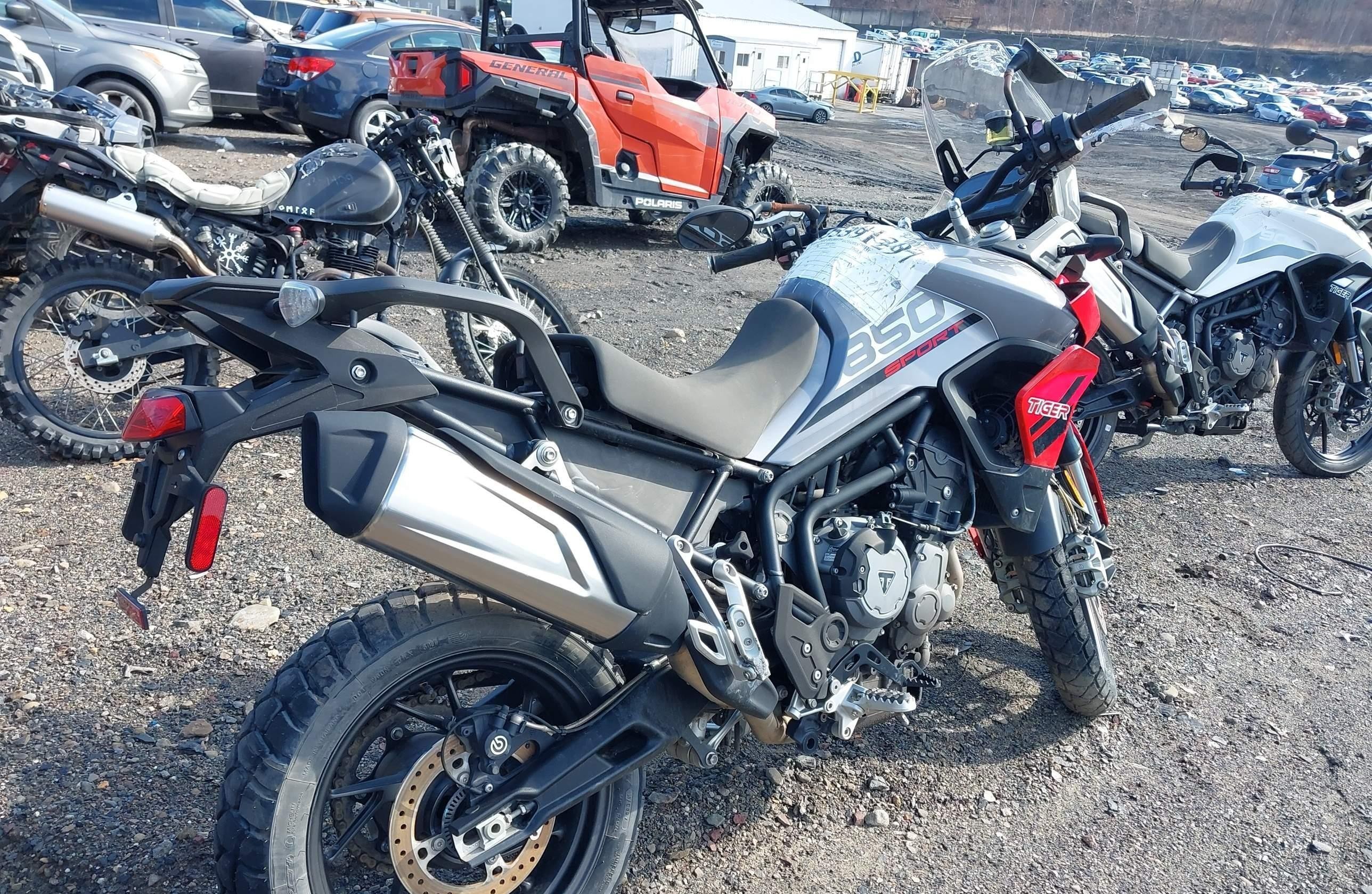 TRIUMPH TIGER 2021, 3 cyl. бензин — фото 3