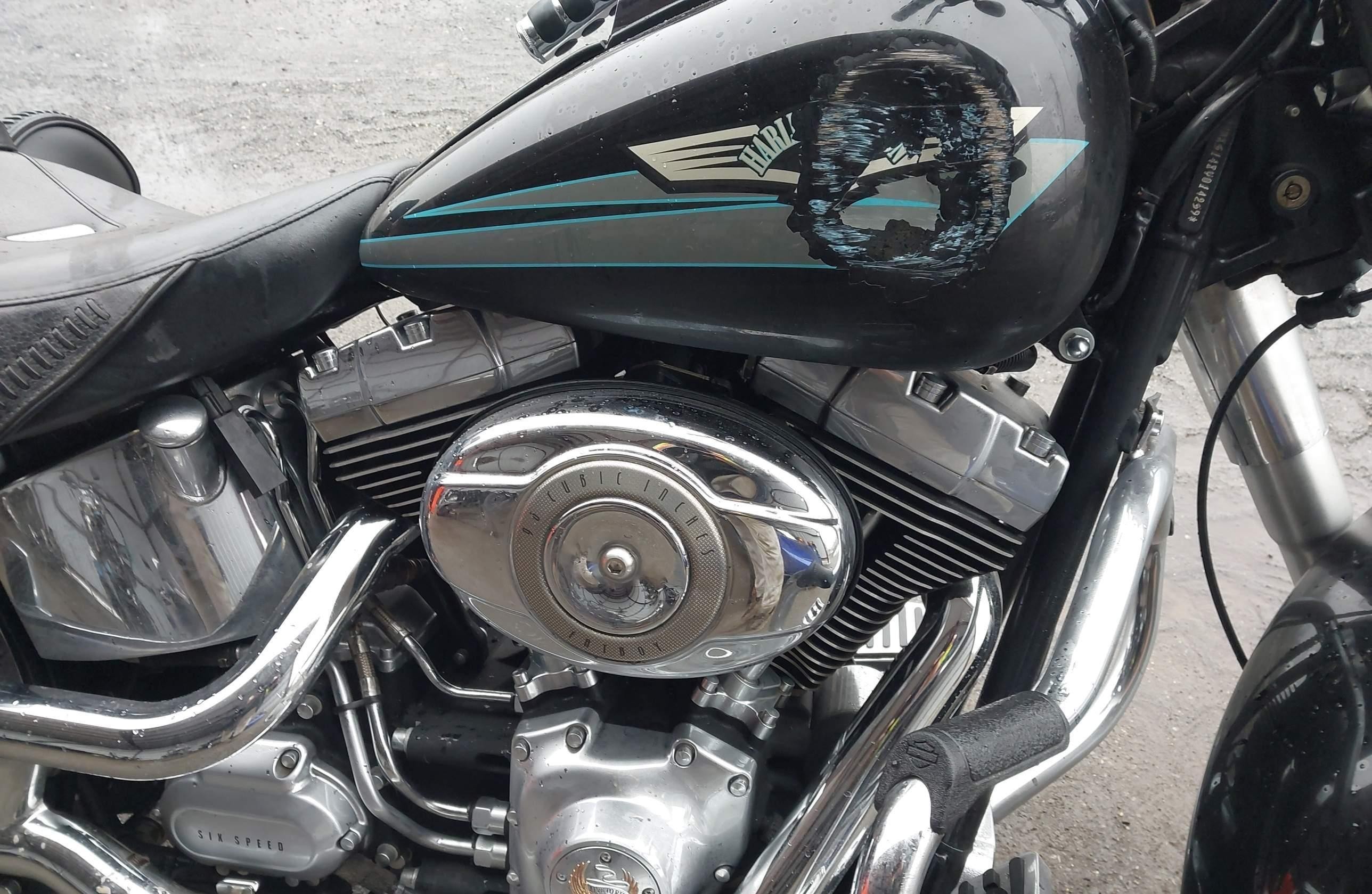 HARLEY-DAVIDSON FLSTF 2008, 41 510 км, 2 cyl. — фото 7